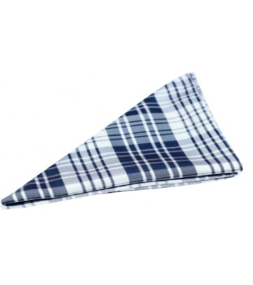 Silk Pocket Square